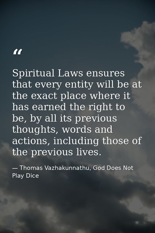 Spiritual Laws ensures that every entity will be at the exact place where it has earned the right to be, by all its prev — Thomas Vazhakunnathu, God Does Not Play Dice