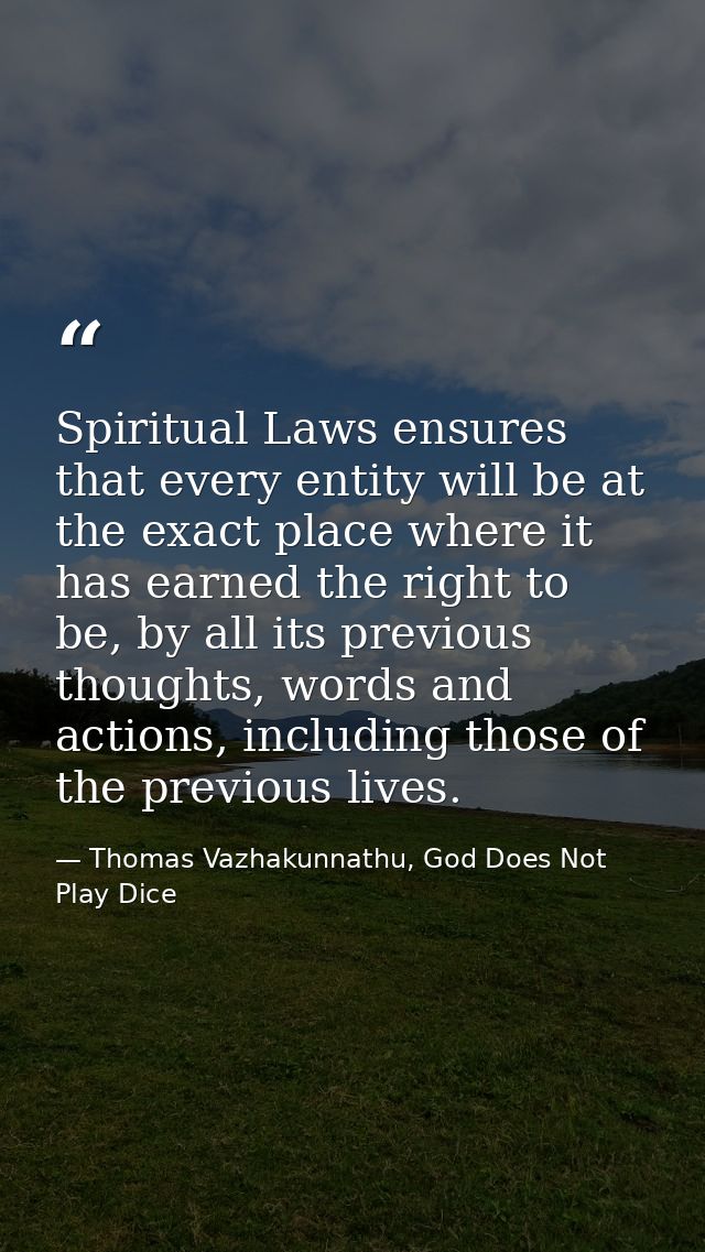 Spiritual Laws ensures that every entity will be at the exact place where it has earned the right to be, by all its prev — Thomas Vazhakunnathu, God Does Not Play Dice