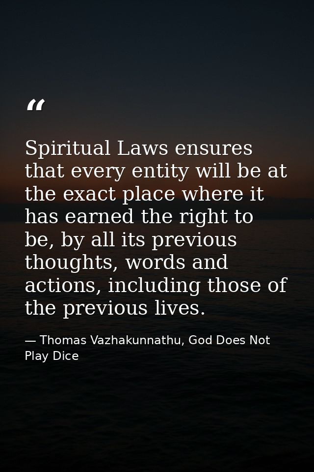 Spiritual Laws ensures that every entity will be at the exact place where it has earned the right to be, by all its prev — Thomas Vazhakunnathu, God Does Not Play Dice