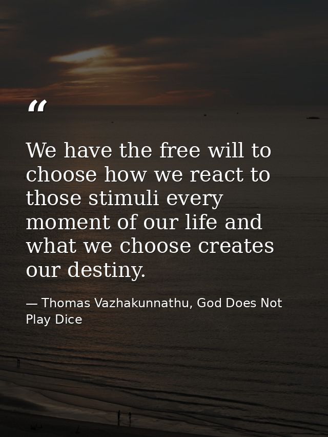 We have the free will to choose how we react to those stimuli every moment of our life and what we choose creates our de — Thomas Vazhakunnathu, God Does Not Play Dice