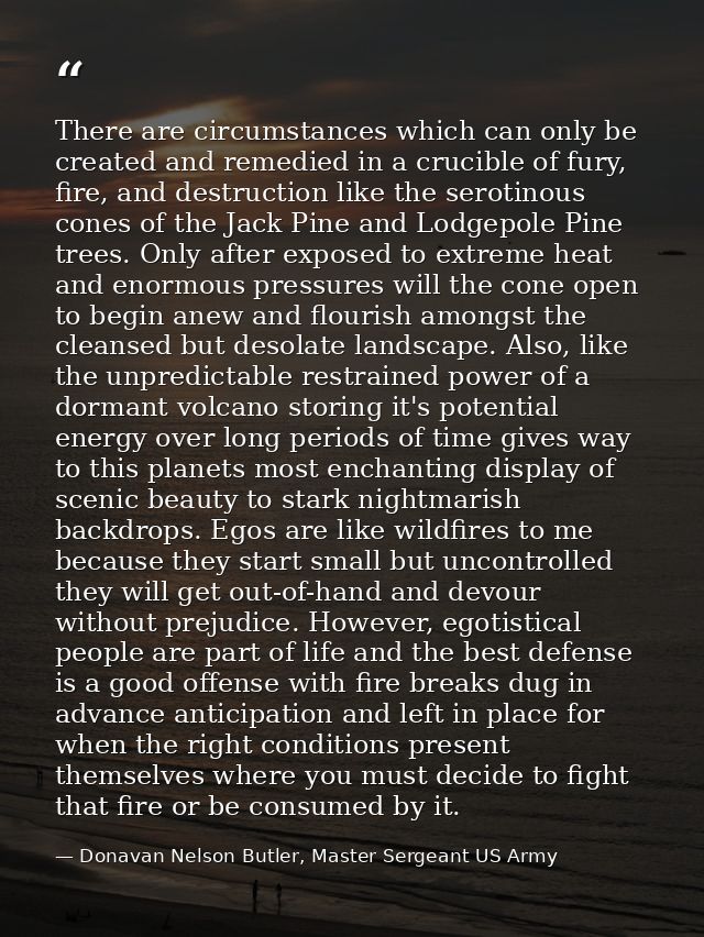There are circumstances which can only be created and remedied in a crucible of fury, fire, and destruction like the ser — Donavan Nelson Butler, Master Sergeant US Army