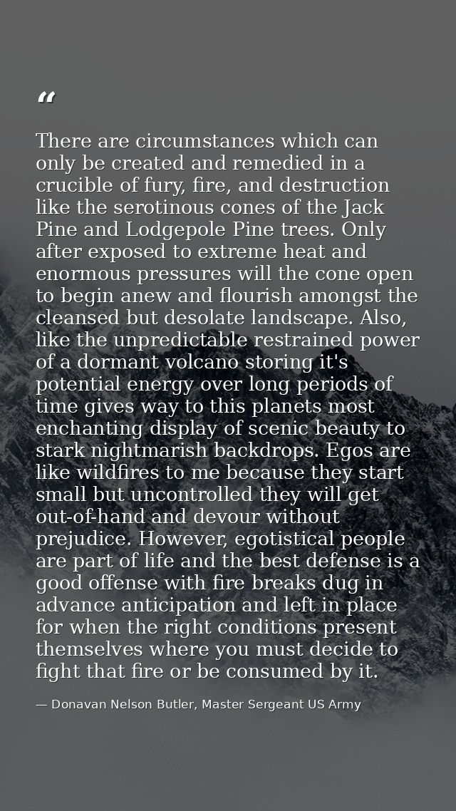 There are circumstances which can only be created and remedied in a crucible of fury, fire, and destruction like the ser — Donavan Nelson Butler, Master Sergeant US Army