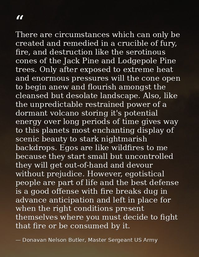 There are circumstances which can only be created and remedied in a crucible of fury, fire, and destruction like the ser — Donavan Nelson Butler, Master Sergeant US Army