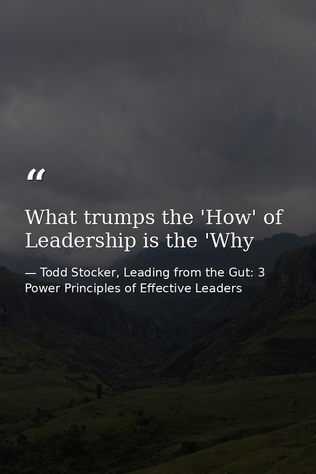 What trumps the 'How' of Leadership is the 'Why — Todd Stocker, Leading from the Gut: 3 Power Principles of Effective Leaders