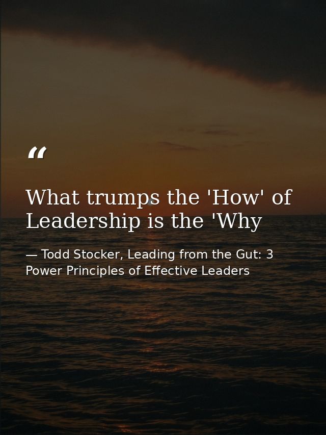 What trumps the 'How' of Leadership is the 'Why — Todd Stocker, Leading from the Gut: 3 Power Principles of Effective Leaders