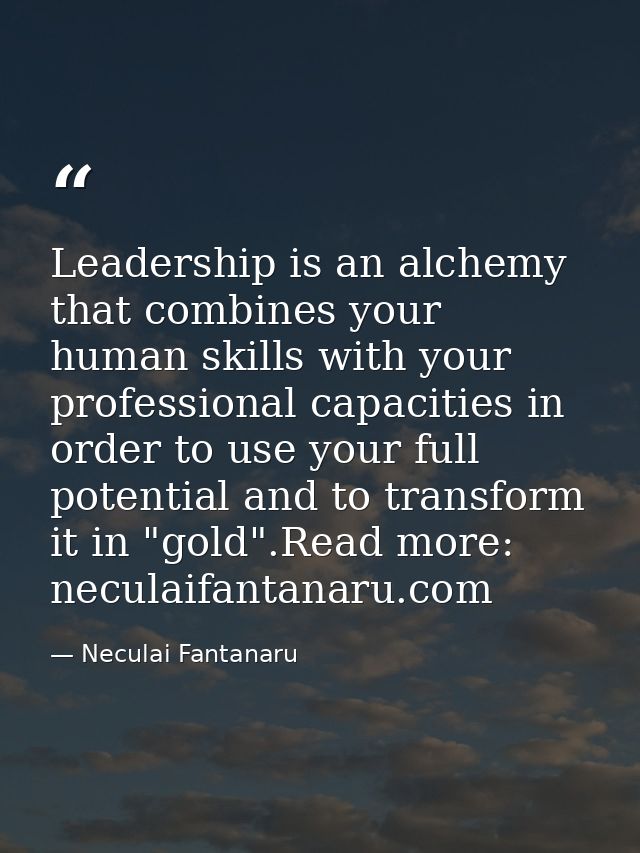 Leadership is an alchemy that combines your human skills with your professional capacities in order to use your full pot — Neculai Fantanaru