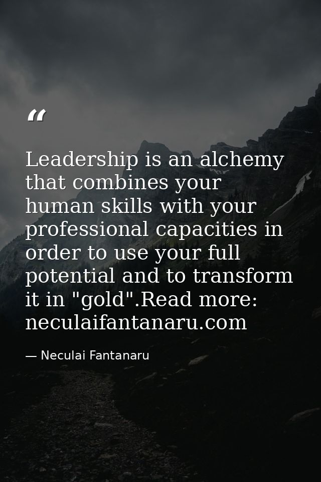 Leadership is an alchemy that combines your human skills with your professional capacities in order to use your full pot — Neculai Fantanaru