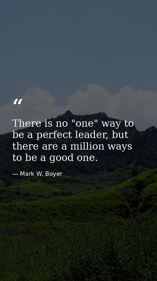 There is no "one" way to be a perfect leader, but there are a million ways to be a good one. — Mark W. Boyer