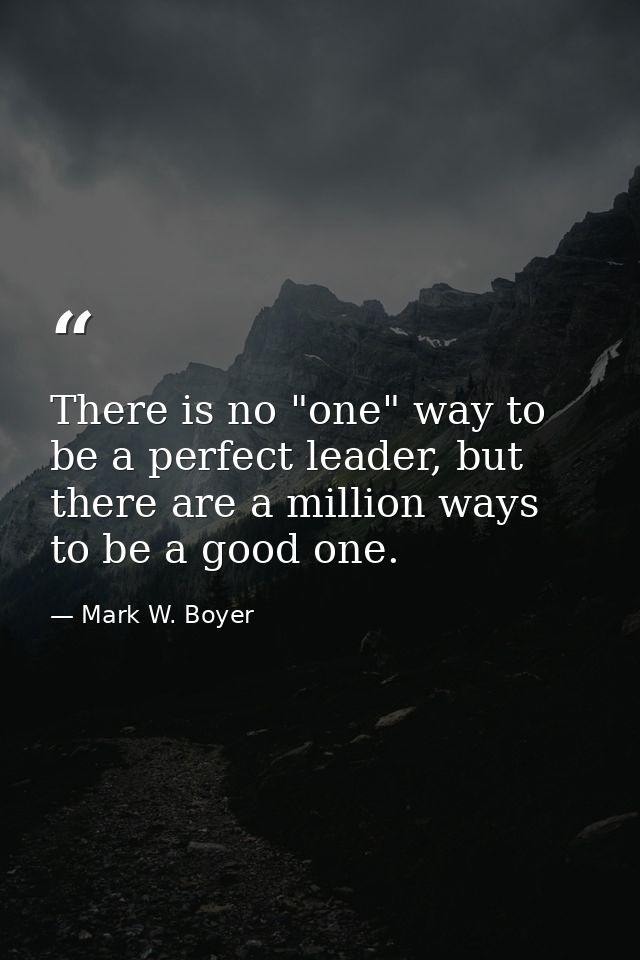 There is no "one" way to be a perfect leader, but there are a million ways to be a good one. — Mark W. Boyer