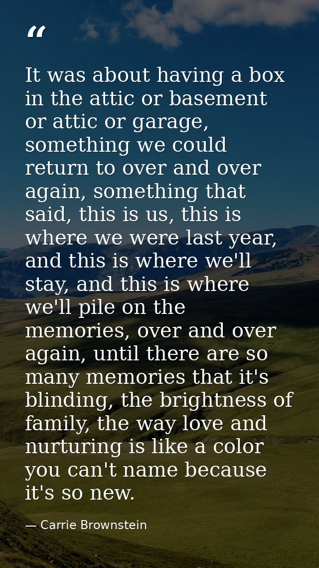 It was about having a box in the attic or basement or attic or garage, something we could return to over and over again, — Carrie Brownstein