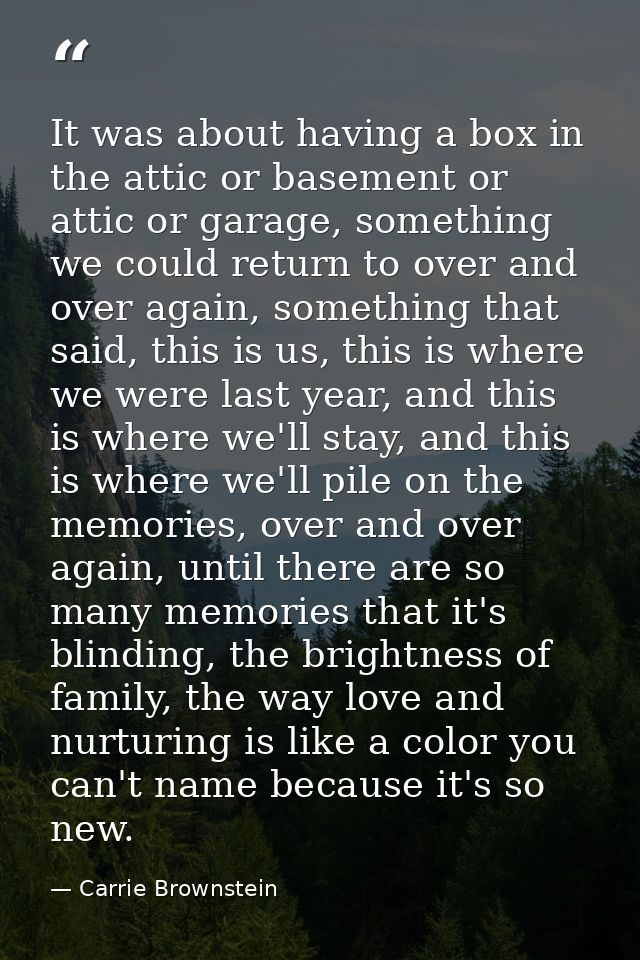 It was about having a box in the attic or basement or attic or garage, something we could return to over and over again, — Carrie Brownstein