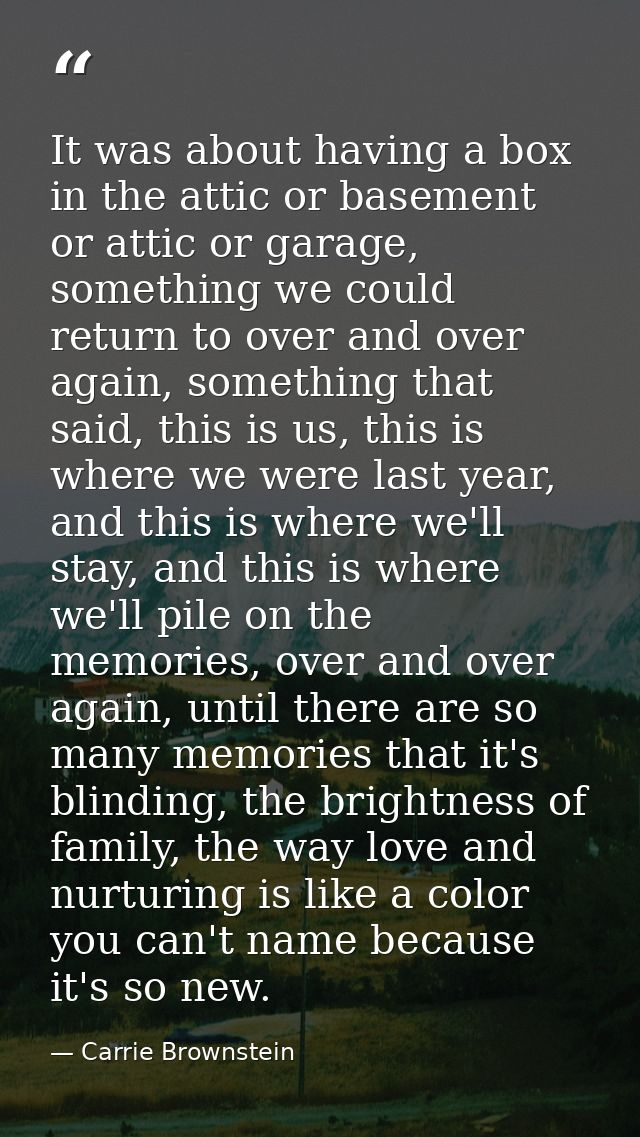 It was about having a box in the attic or basement or attic or garage, something we could return to over and over again, — Carrie Brownstein