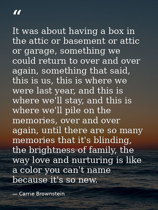 It was about having a box in the attic or basement or attic or garage, something we could return to over and over again, — Carrie Brownstein