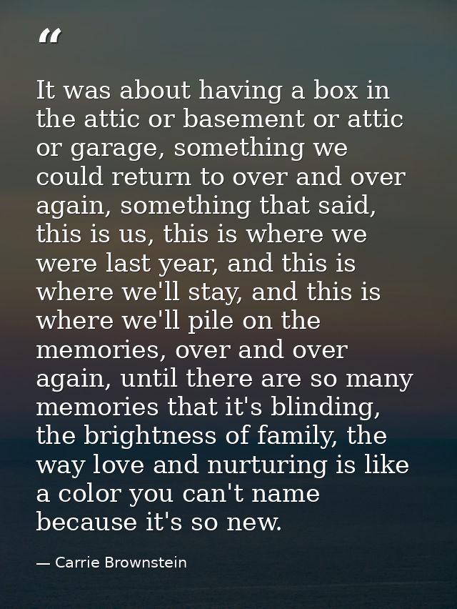 It was about having a box in the attic or basement or attic or garage, something we could return to over and over again, — Carrie Brownstein