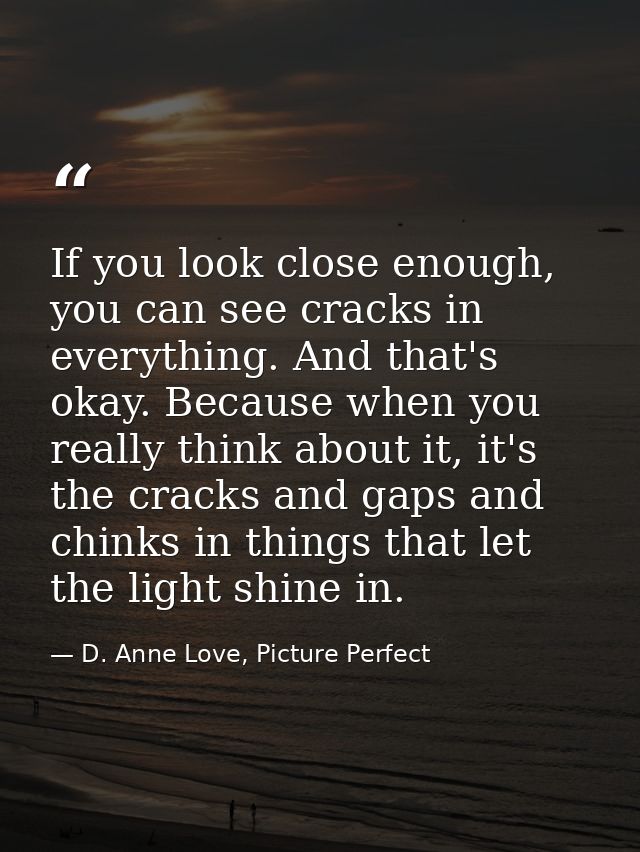 If you look close enough, you can see cracks in everything. And that's okay. Because when you really think about it, it' — D. Anne Love, Picture Perfect