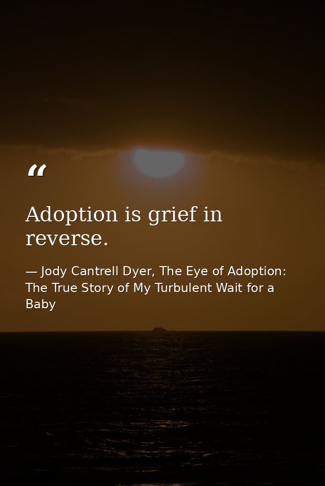 Adoption is grief in reverse. — Jody Cantrell Dyer, The Eye of Adoption: The True Story of My Turbulent Wait for a Baby