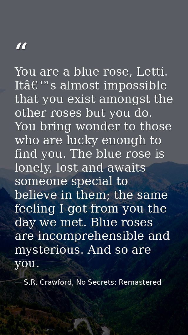 You are a blue rose, Letti. Itâ€™s almost impossible that you exist amongst the other roses but you do. You bring wonder — S.R. Crawford, No Secrets: Remastered