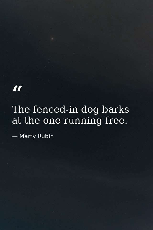 The fenced-in dog barks at the one running free. — Marty Rubin