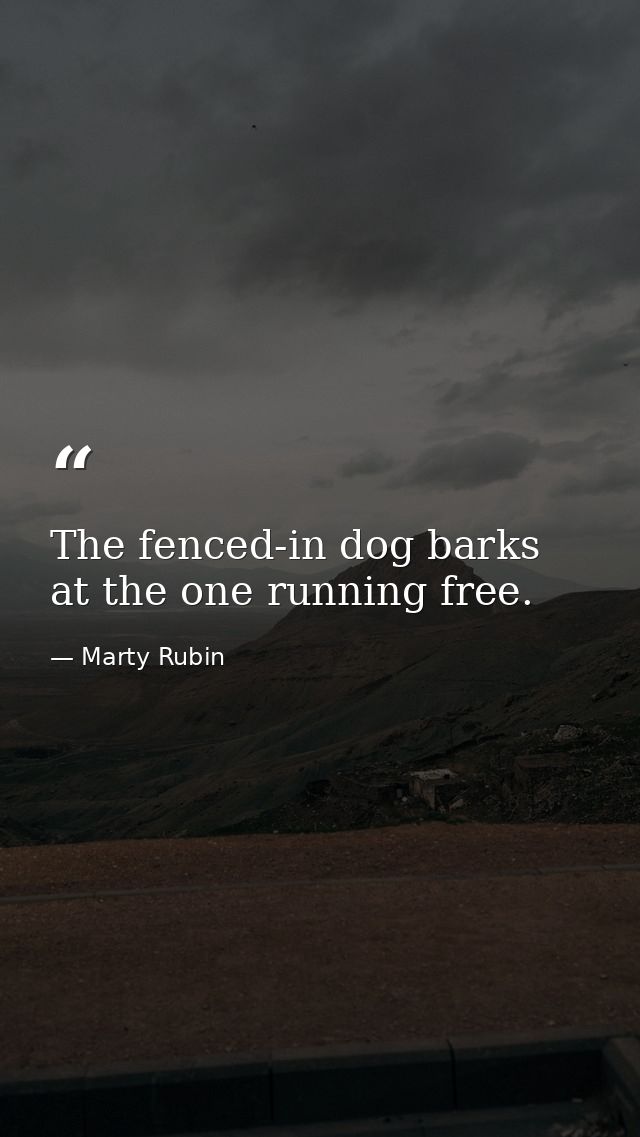 The fenced-in dog barks at the one running free. — Marty Rubin