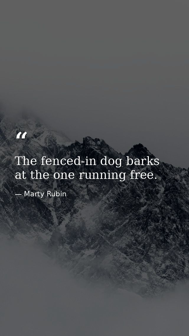 The fenced-in dog barks at the one running free. — Marty Rubin