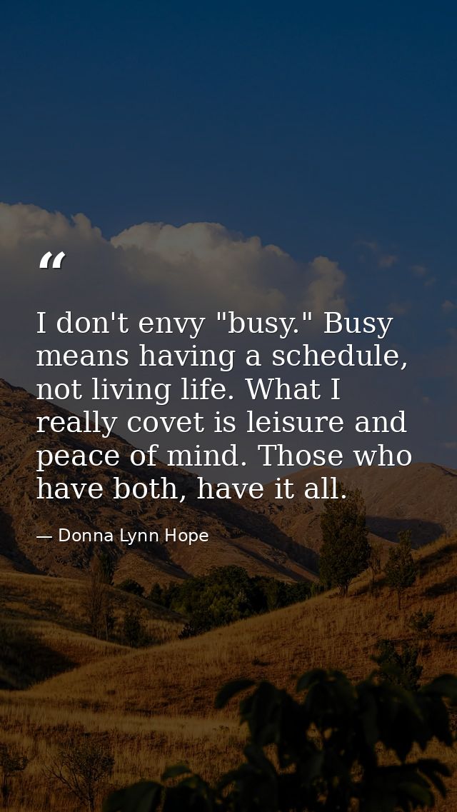 I don't envy "busy." Busy means having a schedule, not living life. What I really covet is leisure and peace of mind. Th — Donna Lynn Hope