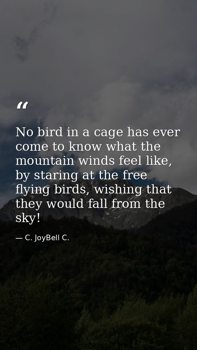 No bird in a cage has ever come to know what the mountain winds feel like, by staring at the free flying birds, wishing  — C. JoyBell C.