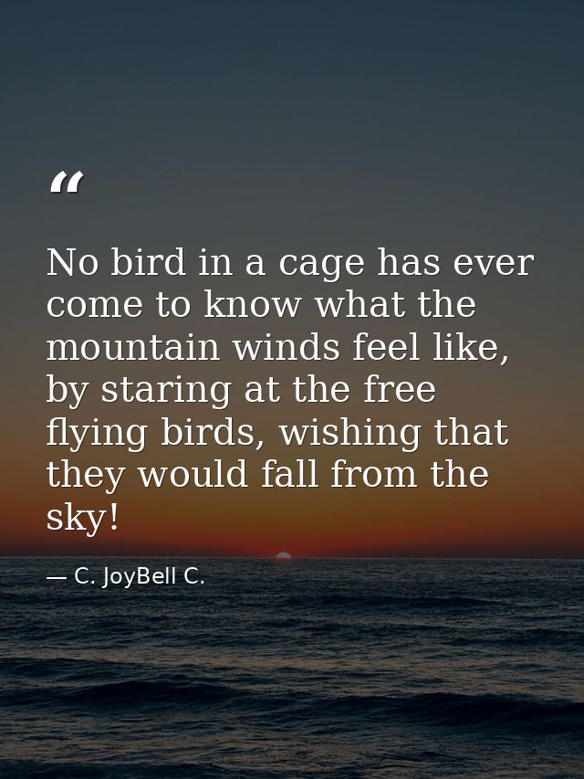 No bird in a cage has ever come to know what the mountain winds feel like, by staring at the free flying birds, wishing  — C. JoyBell C.