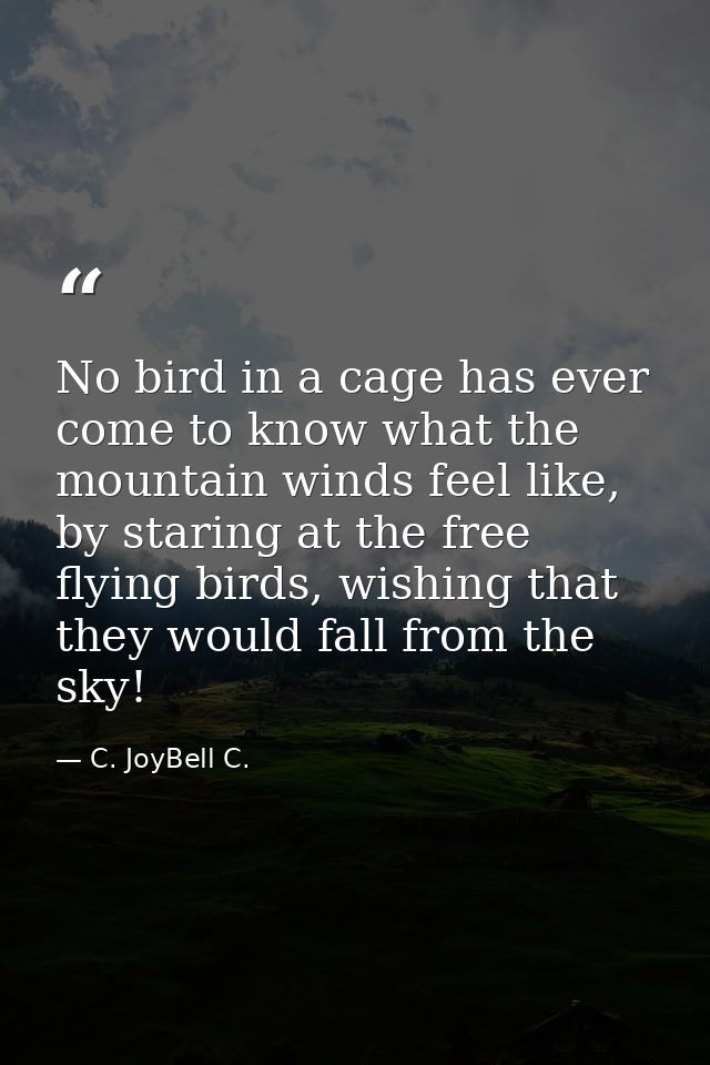 No bird in a cage has ever come to know what the mountain winds feel like, by staring at the free flying birds, wishing  — C. JoyBell C.
