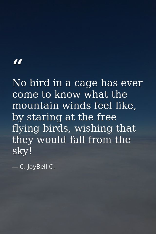 No bird in a cage has ever come to know what the mountain winds feel like, by staring at the free flying birds, wishing  — C. JoyBell C.