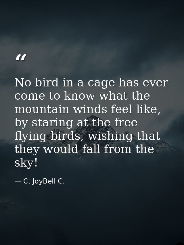 No bird in a cage has ever come to know what the mountain winds feel like, by staring at the free flying birds, wishing  — C. JoyBell C.