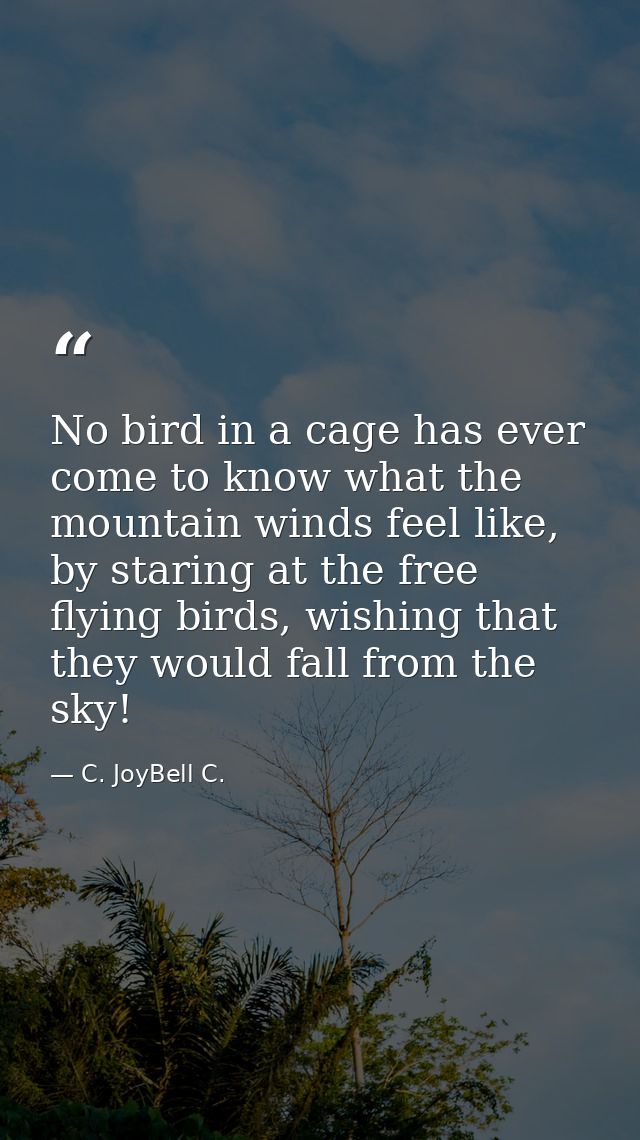 No bird in a cage has ever come to know what the mountain winds feel like, by staring at the free flying birds, wishing  — C. JoyBell C.