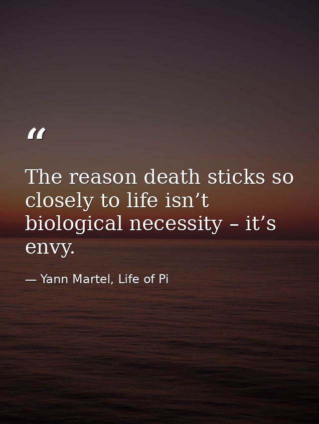 The reason death sticks so closely to life isn’t biological necessity – it’s envy. — Yann Martel, Life of Pi