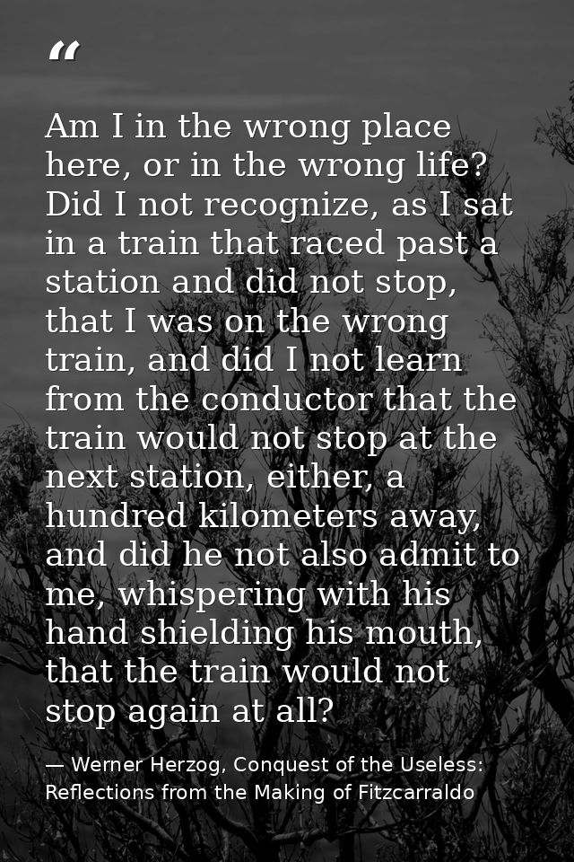 Am I in the wrong place here, or in the wrong life? Did I not recognize, as I sat in a train that raced past a station a — Werner Herzog, Conquest of the Useless: Reflections from the Making of Fitzcarraldo
