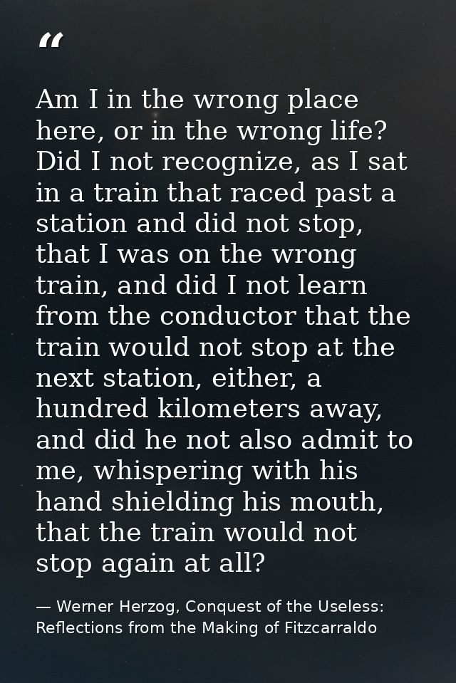 Am I in the wrong place here, or in the wrong life? Did I not recognize, as I sat in a train that raced past a station a — Werner Herzog, Conquest of the Useless: Reflections from the Making of Fitzcarraldo