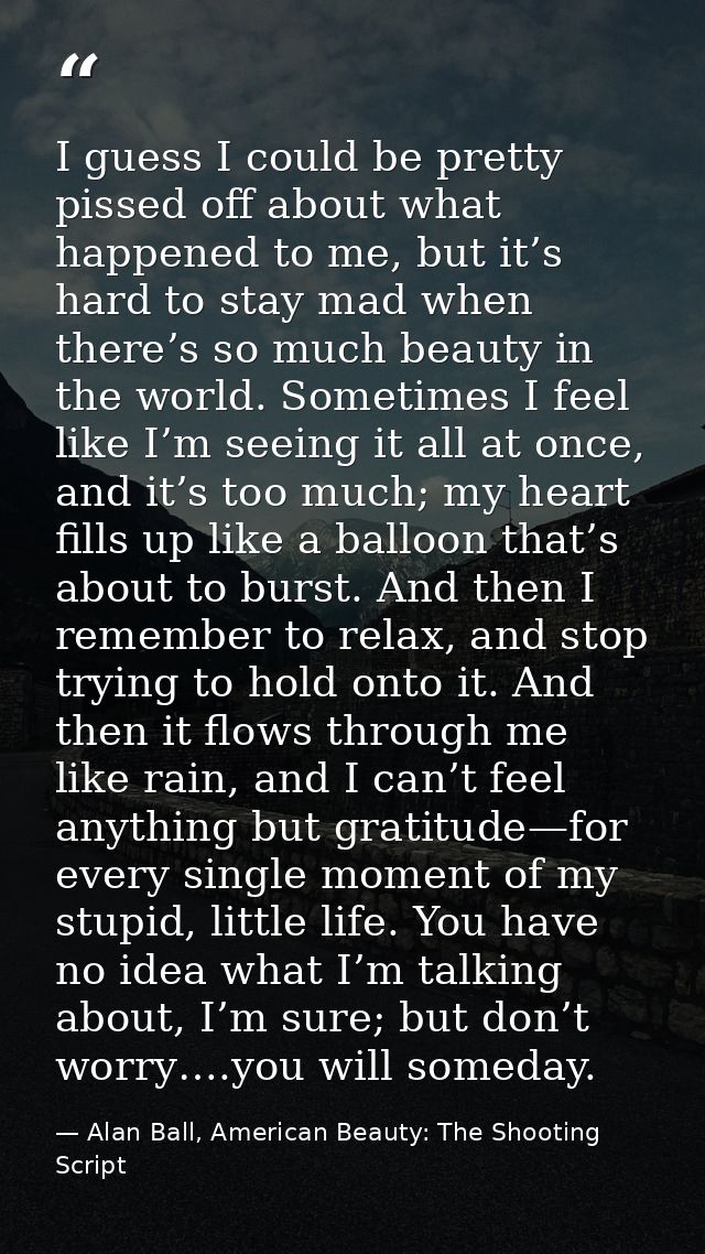 I guess I could be pretty pissed off about what happened to me, but it’s hard to stay mad when there’s so much beauty in — Alan Ball, American Beauty: The Shooting Script