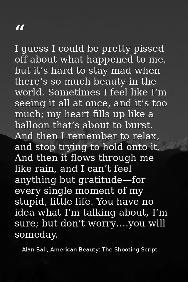 I guess I could be pretty pissed off about what happened to me, but it’s hard to stay mad when there’s so much beauty in — Alan Ball, American Beauty: The Shooting Script