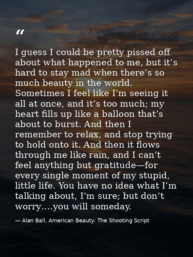 I guess I could be pretty pissed off about what happened to me, but it’s hard to stay mad when there’s so much beauty in — Alan Ball, American Beauty: The Shooting Script