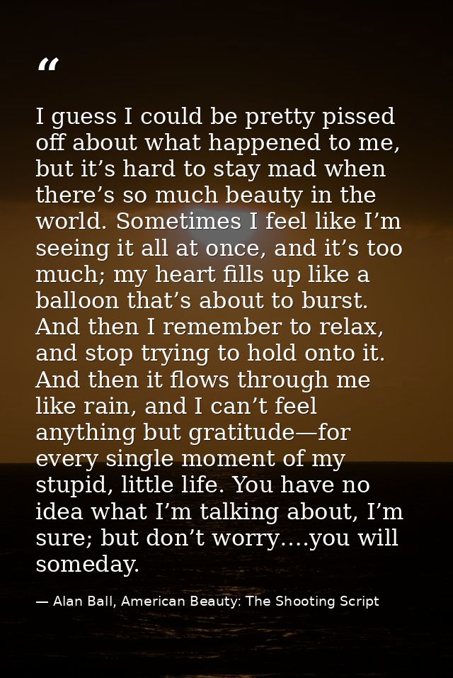 I guess I could be pretty pissed off about what happened to me, but it’s hard to stay mad when there’s so much beauty in — Alan Ball, American Beauty: The Shooting Script
