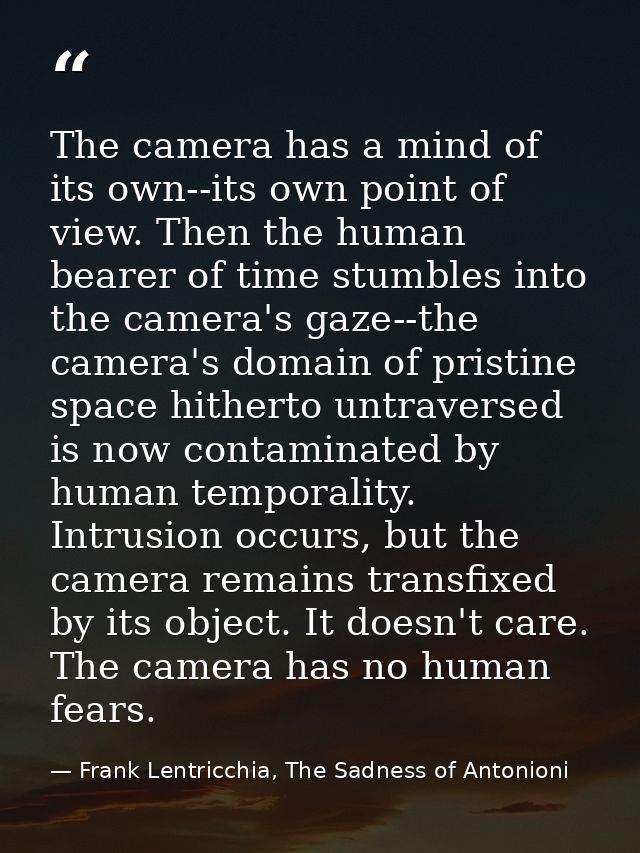 The camera has a mind of its own--its own point of view. Then the human bearer of time stumbles into the camera's gaze-- — Frank Lentricchia, The Sadness of Antonioni