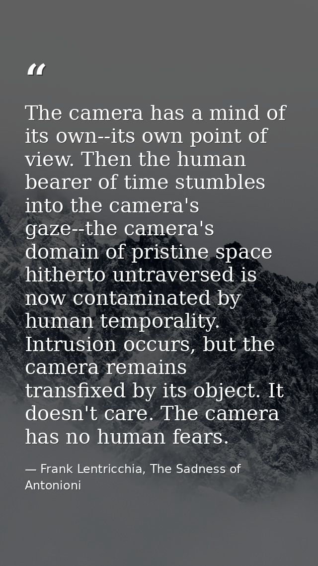 The camera has a mind of its own--its own point of view. Then the human bearer of time stumbles into the camera's gaze-- — Frank Lentricchia, The Sadness of Antonioni