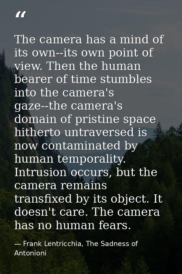 The camera has a mind of its own--its own point of view. Then the human bearer of time stumbles into the camera's gaze-- — Frank Lentricchia, The Sadness of Antonioni