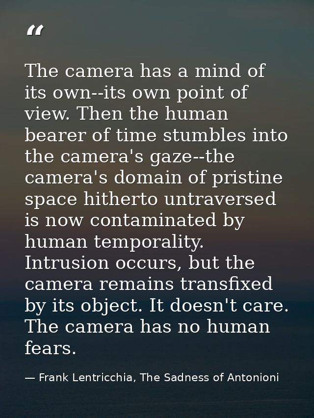 The camera has a mind of its own--its own point of view. Then the human bearer of time stumbles into the camera's gaze-- — Frank Lentricchia, The Sadness of Antonioni