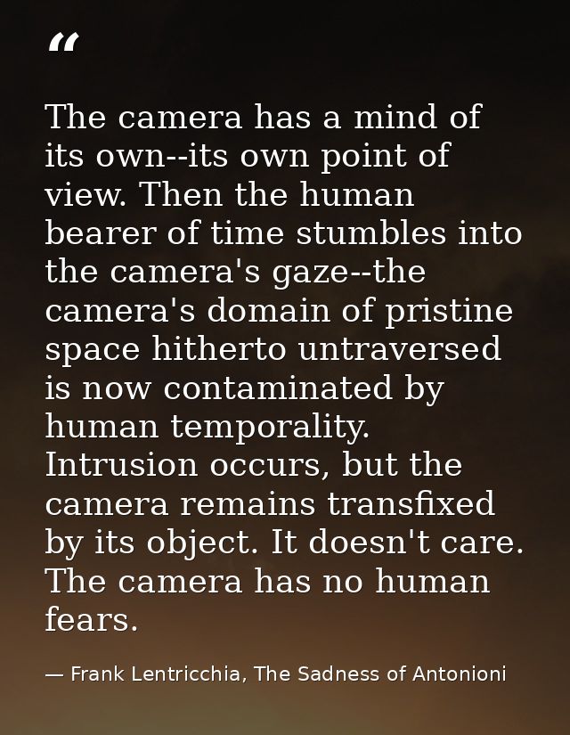 The camera has a mind of its own--its own point of view. Then the human bearer of time stumbles into the camera's gaze-- — Frank Lentricchia, The Sadness of Antonioni