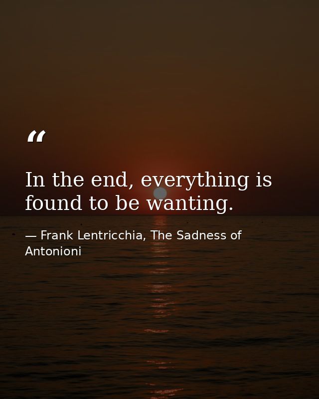 In the end, everything is found to be wanting. — Frank Lentricchia, The Sadness of Antonioni