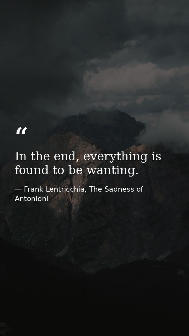 In the end, everything is found to be wanting. — Frank Lentricchia, The Sadness of Antonioni