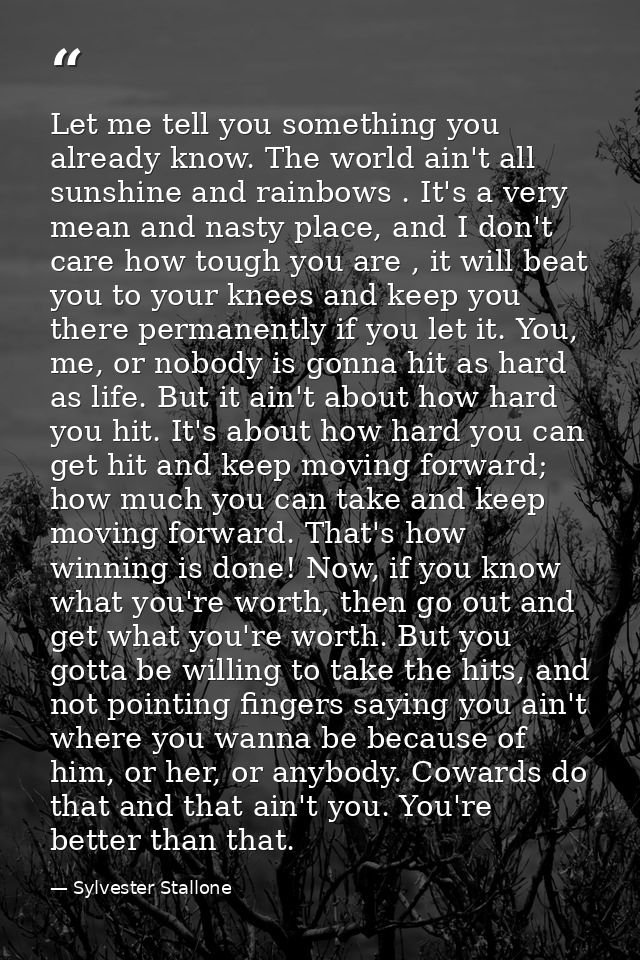 Let me tell you something you already know. The world ain't all sunshine and rainbows . It's a very mean and nasty place — Sylvester Stallone