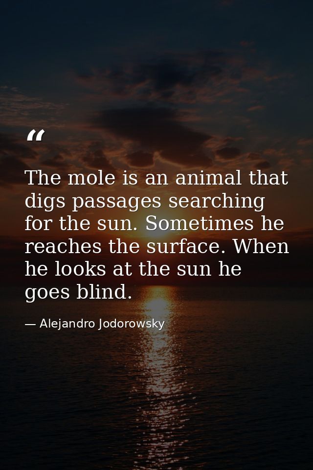 The mole is an animal that digs passages searching for the sun. Sometimes he reaches the surface. When he looks at the s — Alejandro Jodorowsky