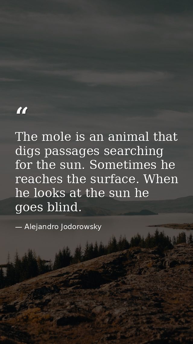 The mole is an animal that digs passages searching for the sun. Sometimes he reaches the surface. When he looks at the s — Alejandro Jodorowsky