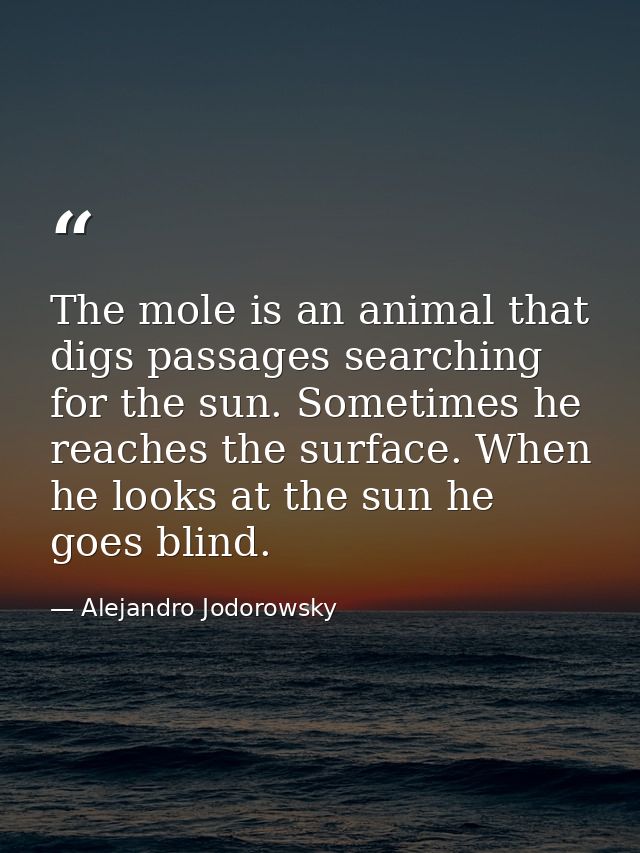 The mole is an animal that digs passages searching for the sun. Sometimes he reaches the surface. When he looks at the s — Alejandro Jodorowsky