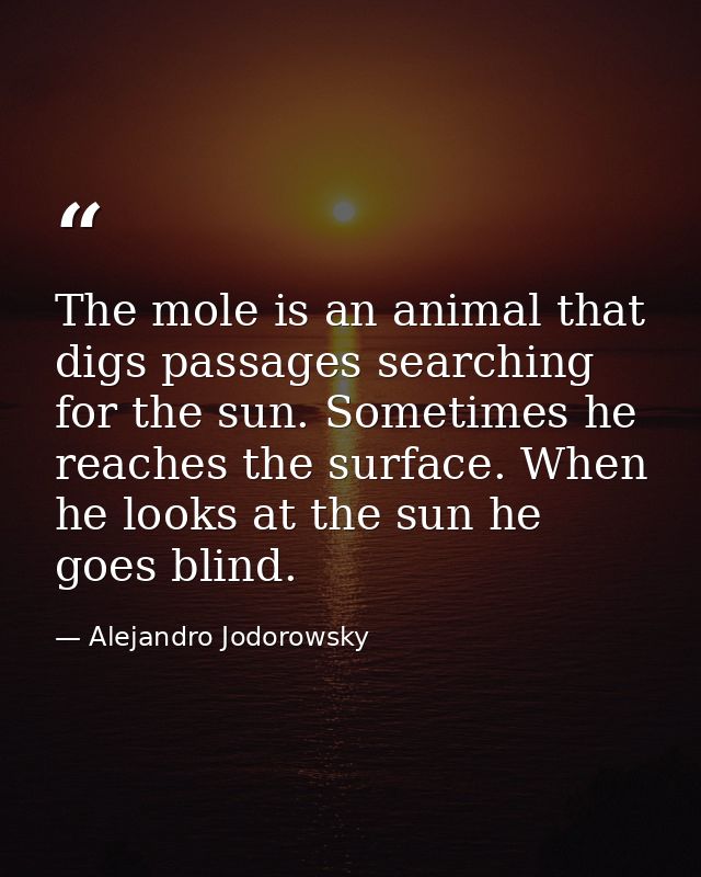The mole is an animal that digs passages searching for the sun. Sometimes he reaches the surface. When he looks at the s — Alejandro Jodorowsky